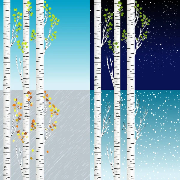 Four Seasons Illustration Birch Tree — Stock Vector