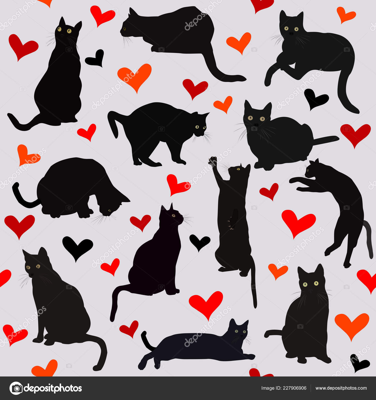 Fond Transparent Avec Les Cœurs Les Chats Noirs Pour Saint