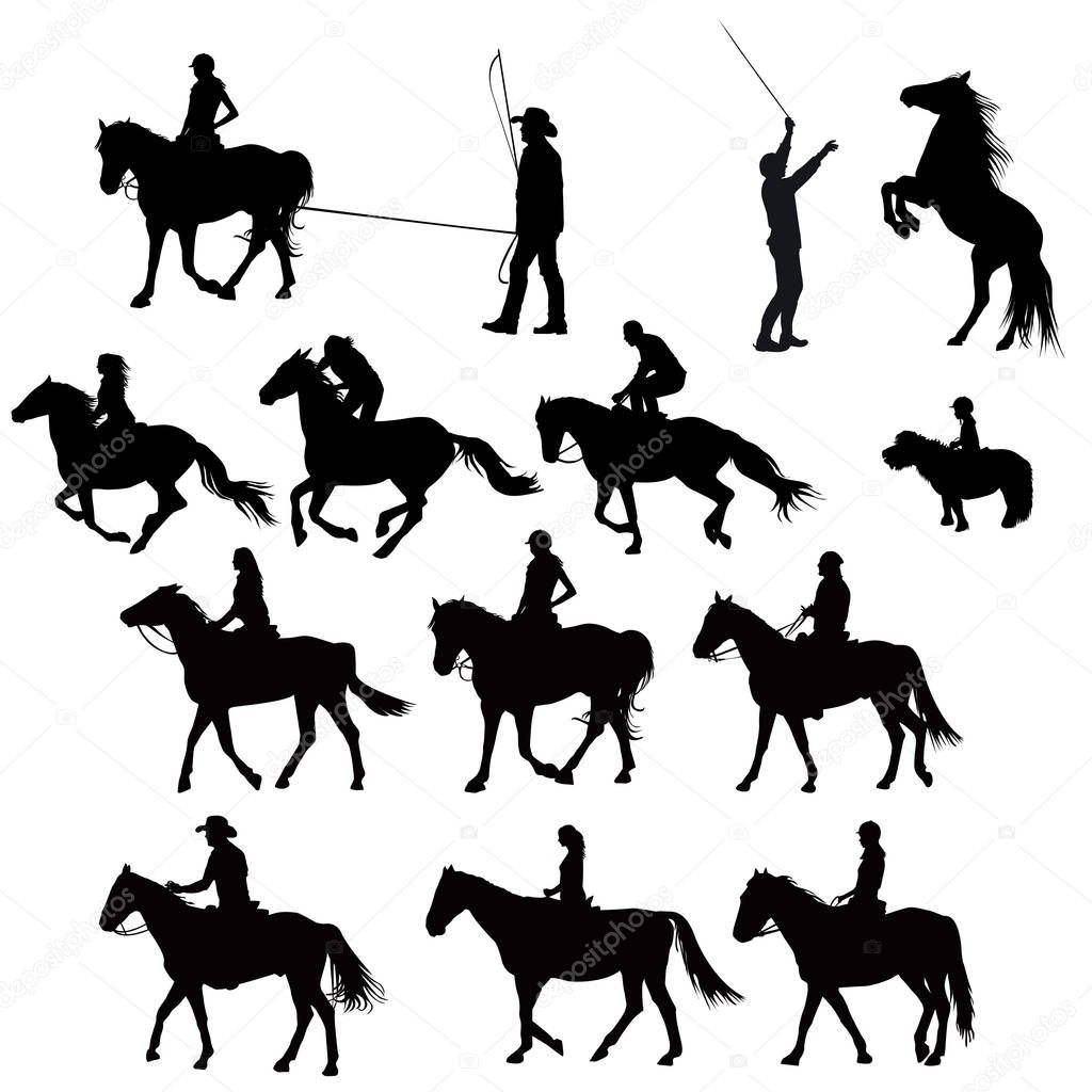Silhouettes of horse riders in training