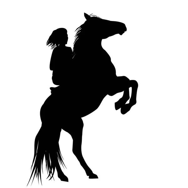 Silhouette of a girl and and her rearing stallion — Stock Vector