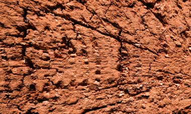 Eski ağaç kabuğu arkaplanı