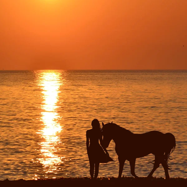 Жінка з конем на сході сонця на березі моря — стокове фото