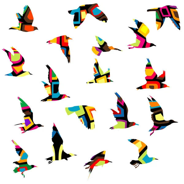 Барвисті силуети птахів, що літають — стоковий вектор