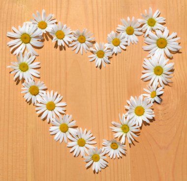 Kalp şeklinde Daisy çiçek çerçevesi