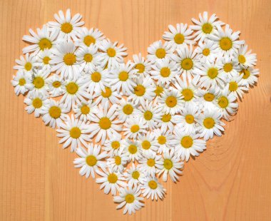 Tahta arka planda kalp şeklinde Daisy çiçekleri
