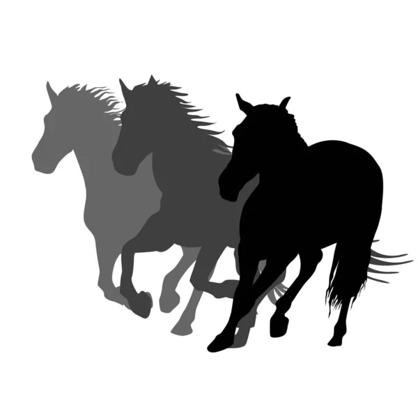 Silhouetten Van Drie Rennende Paarden — Stockvector