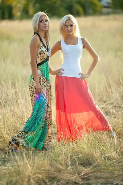 Two Beautiful Sexy Blonde Girl Posing Grass — Stock Photo, Image