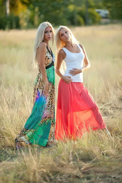 Две Красивые Сексуальные Блондинки Позируют Траве — стоковое фото