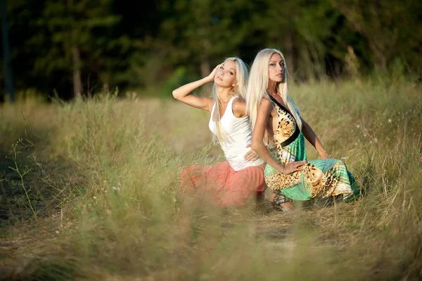 Dwa Piękne Sexy Blondynka Dziewczyna Pozuje Trawie — Zdjęcie stockowe