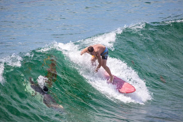 Surfista cavalgando as ondas na praia do Pacífico — Fotografia de Stock