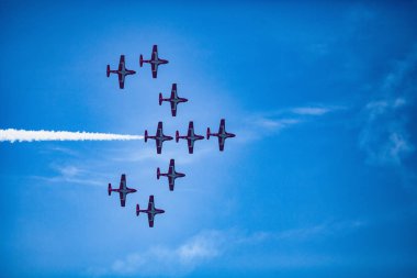 Kanada Karkuşları Büyük Pasifik Hava Gösterisinde