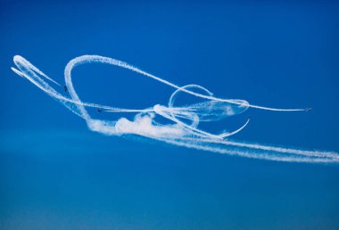 Kanada Karkuşları Büyük Pasifik Hava Gösterisinde