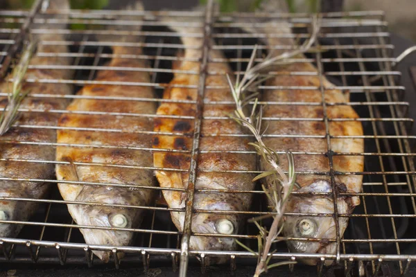 Gıda sahneleri - alabalık ızgara. Elektrikli ızgara taze balık hazırlamak. Pişirme ve kızartma. Üstten görünüm