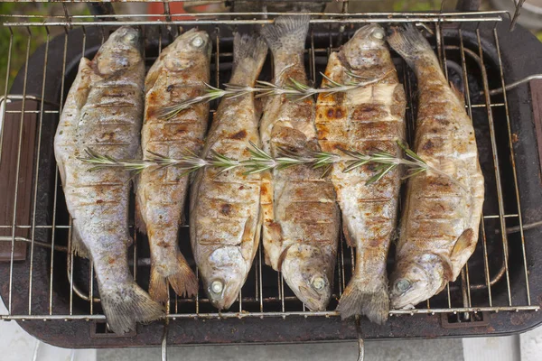 Gıda sahneleri - alabalık ızgara. Elektrikli ızgara taze balık hazırlamak. Pişirme ve kızartma. Üstten görünüm