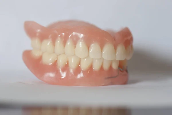 Beyaz Arka Plan Üzerinde Yapay Tıbbi Takma Diş — Stok fotoğraf