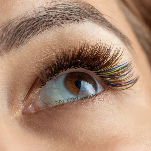 Behandlung Der Wimpernverlängerung Mit Unterschiedlichen Farben Wimpern Frauenaugen Mit Langen — Stockfoto