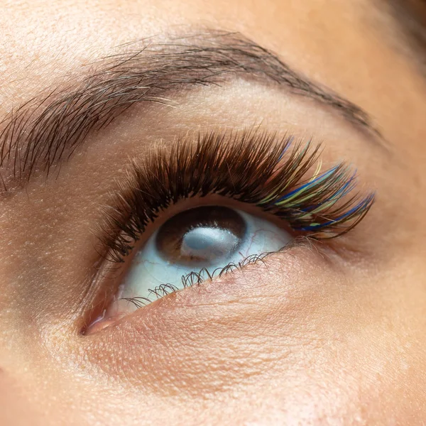 Behandeling Van Eyelash Extension Met Verschillende Kleuren Wimpers Vrouw Ogen — Stockfoto