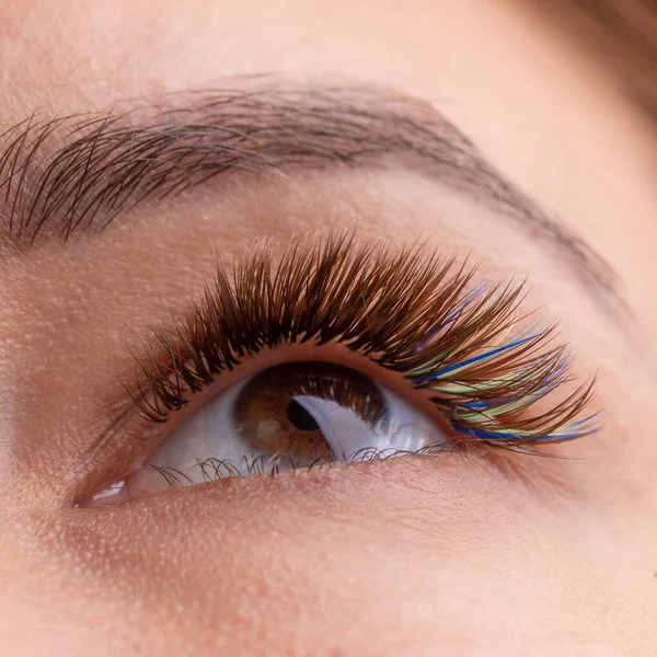 Treatment Eyelash Extension Diferent Colors Lashes Woman Eyes Long Eyelashes — Stock Photo, Image