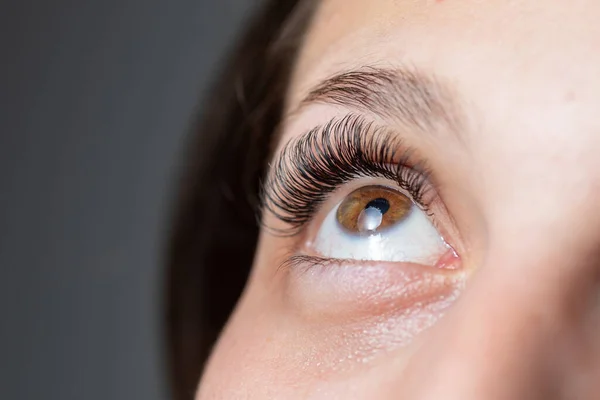 Behandlung Der Wimpernverlängerung Wimpern Frauenaugen Mit Langen Wimpern — Stockfoto