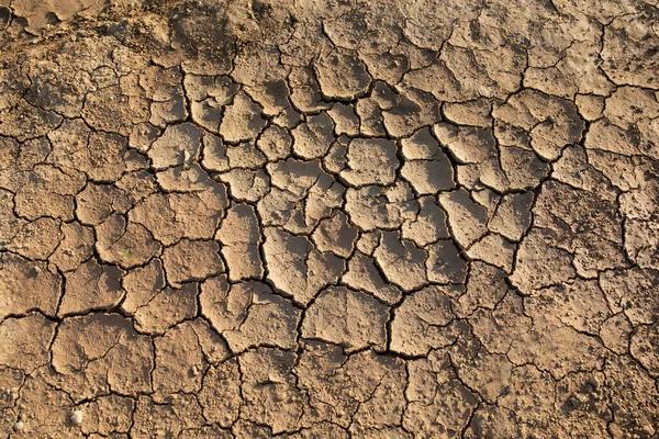 Trockene Zerklüftete Wüste Die Globale Wasserknappheit Auf Dem Planeten Illustration — Stockfoto