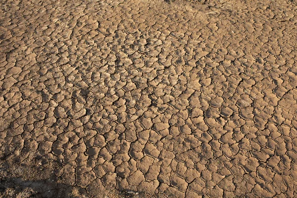 Droge Gebarsten Woestijn Het Wereldwijde Tekort Aan Water Planeet Concept — Stockfoto