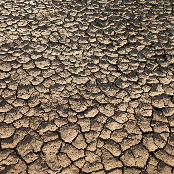 Trockene Zerklüftete Wüste Die Globale Wasserknappheit Auf Dem Planeten Konzept — Stockfoto