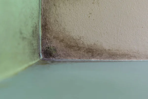 Unhigienische Wandecke Mit Schimmel Durch Kondenswasser Den Wänden Raum Mit — Stockfoto