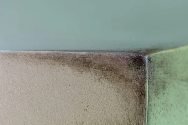 Unhigienic wall corner with Mold from condensation on the walls in the room with poor isolation stock photo