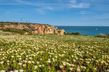 Cliffs Atlantik Okyanusu, Lagos, Algarve, Portekiz tarafından görüntülemek.