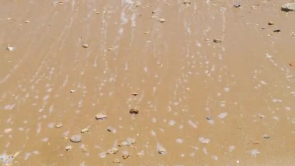 Мягкие Волны Синего Океана Разбивающиеся Песчаном Пляже — стоковое видео
