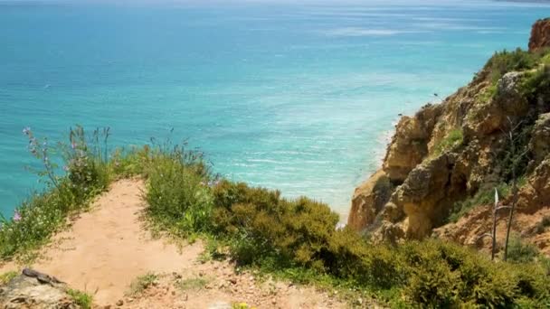 Vue Sur Les Falaises Par Océan Atlantique Lagos Algarve Portugal — Video