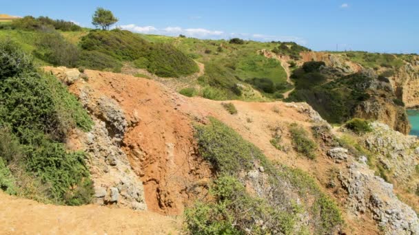 Vista Scogliere Sull Oceano Atlantico Lagos Algarve Portogallo — Video Stock