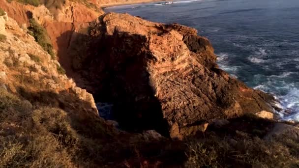 Delicioso Damascos Maduros Fruta Fundo Madeira Close — Vídeo de Stock