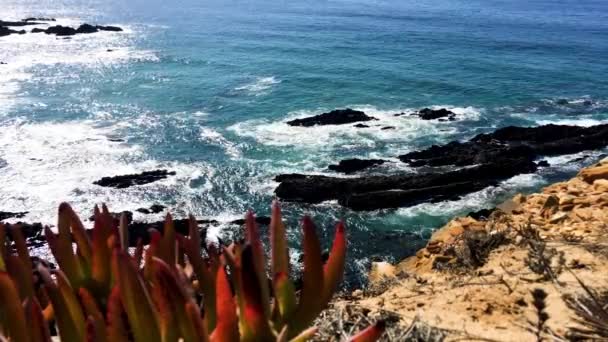 Atlantische Oceaan Kust Rotsmassief Van Sardao Cape Cabo Sardao Alentejo — Stockvideo