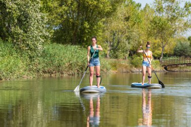İki kadın paddleboarding göl kenarında ayağa kalk. Göl kenarında su sporları yaparken Genç kadınlar. Yaz tatili sırasında kadın turist.