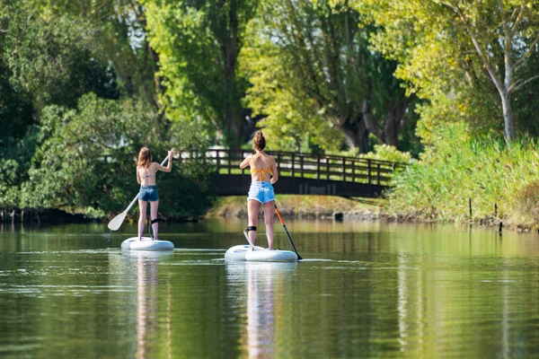 İki kadın paddleboarding göl kenarında ayağa kalk. Göl kenarında su sporları yaparken Genç kadınlar. Yaz tatili sırasında kadın turist.