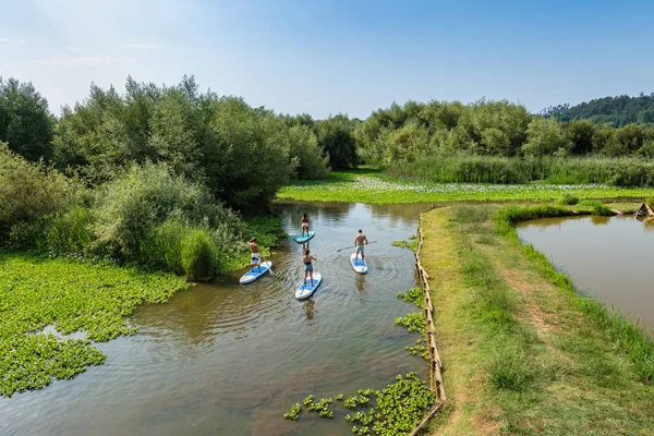 Mannen Vrouwen Opkomen Paddleboarding Meer Jonge Paren Doen Watersport Het — Stockfoto