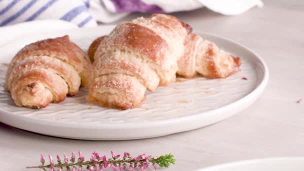 Small Croissants White Ceramic Plates Homemade Cakes Concrete Table Top — Stock Video