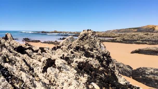 Odmira ポルトガル 2017 Almograve はアレンテージョ地方の人気のある観光名所をビーチします — ストック動画