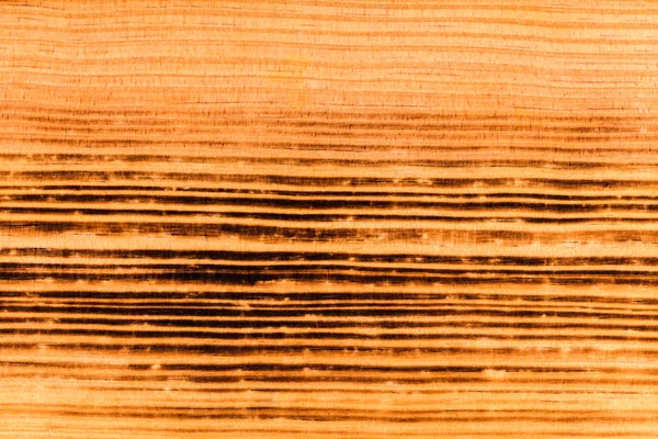 Legno di pino marrone bruciato — Foto Stock