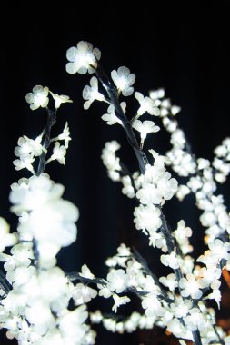 Ağaç dalları iluminated Agueda Portekiz sokaklarında dekorasyon Noel ışıkları tarafından güzelliği.