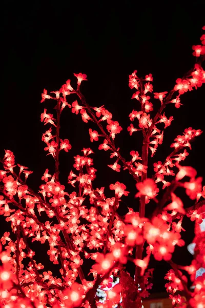 Die Schönheit Der Von Weihnachtslichtern Beleuchteten Zweige Schmücken Die Straßen — Stockfoto