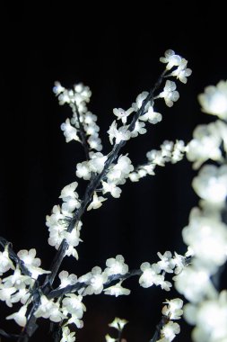 Ağaç dalları iluminated Agueda Portekiz sokaklarında dekorasyon Noel ışıkları tarafından güzelliği.