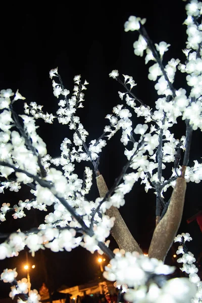 Krásy Stromu Větve Svítící Světla Vánoční Zdobení Ulic Portugalsko Agueda — Stock fotografie