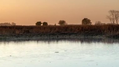 Ria de Aveiro, Ovar, Portekiz 'de gün batımı zamanı..