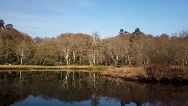 Ponte Barca Portugal Circa Enero 2019 Jardim Dos Poetas Garden — Vídeo de stock