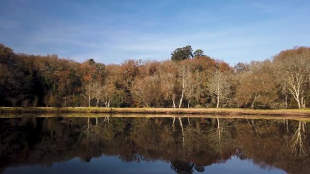 Ponte Barca Portugália 2019 Január Körül Jardim Dos Poetas Kert — Stock videók