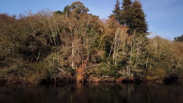 Jardim Dos Poetas Trädgård Denna Lilla Trädgård Tar Sitt Namn — Stockvideo