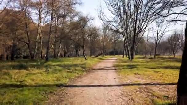 Altıncı Yüzyıl Şair Ponte Barca Yerlilere Olan Iki Kardeş Jardim — Stok video