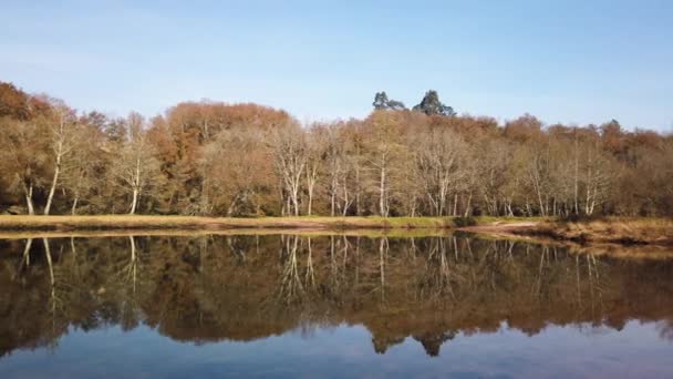 Jardim Dos Poetas Jardín Este Pequeño Jardín Toma Nombre Dos — Vídeos de Stock